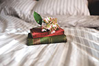 Libros y flor sobre una cama